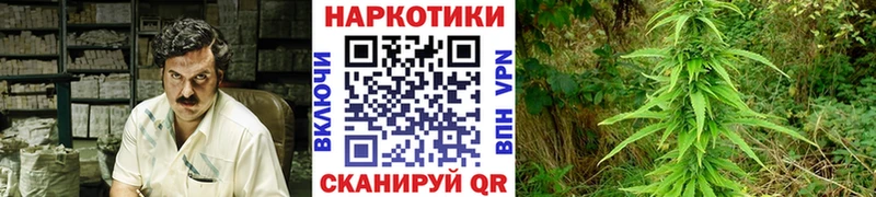 Цена Правдинск ГАШИШ  Марихуана  COCAIN  Меф 