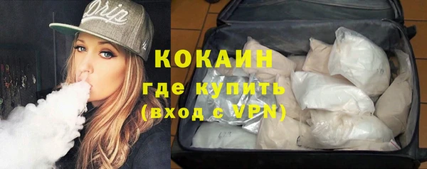 ПСИЛОЦИБИНОВЫЕ ГРИБЫ Пересвет