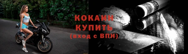 ПСИЛОЦИБИНОВЫЕ ГРИБЫ Пересвет