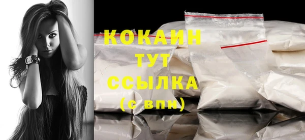 ПСИЛОЦИБИНОВЫЕ ГРИБЫ Пересвет