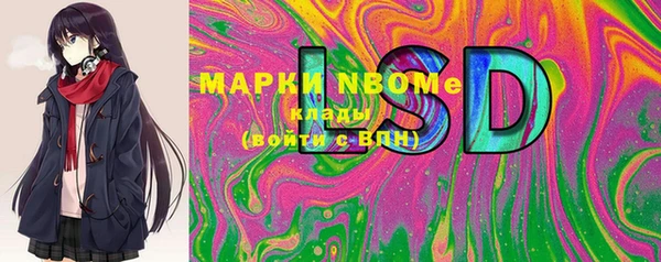 ПСИЛОЦИБИНОВЫЕ ГРИБЫ Пересвет