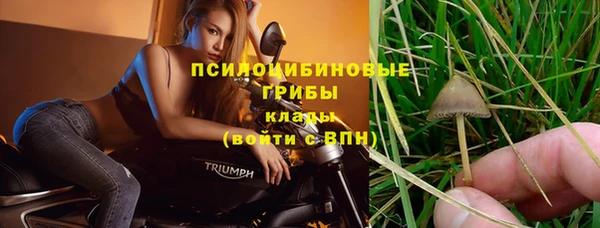 2c-b Переславль-Залесский
